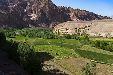 Rugged landscapes and green patchwork fields near Shahr-e Zohak, Afghanistan, Asia