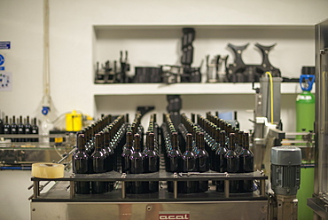 Douro wine being bottled at a winery in the Alto Douro region of Portugal, Europe