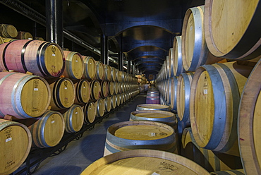 Wine ageing in oak barrels in a cellar at a winery in the Alto Douro region of Portugal, Europe