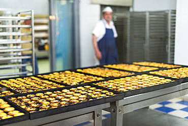 Trays of freshly baked Pasteis de Nata (custard tarts) at Pasteis de Belem in Lisbon, Portugal, Europe