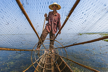 A basket fisherman on Inle Lake scans the still and shallow water for signs of life, Shan State, Myanmar (Burma), Asia