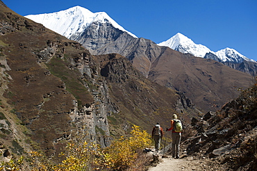 Trekking in the Kagmara Valley in the remote Dolpa region, Himalayas, Nepal, Asia