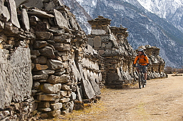 A mountain biker cycles past a line of chortens in the Tsum valley, Manaslu region, Nepal, Asia