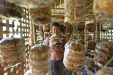 A man holds up a basket of growing mushrooms in a mushroom hut, Chittagong Hill Tracts, Bangladesh, Asia