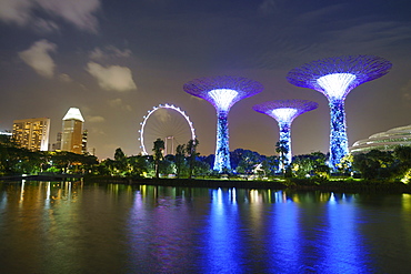 Supertree Grove in the Gardens by the Bay, a futuristic botanical gardens and park, illuminated at night, Marina Bay, Singapore, Southeast Asia, Asia