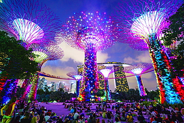 Supertree Grove in the Gardens by the Bay, a futuristic botanical gardens and park, illuminated at night, Marina Bay, Singapore, Southeast Asia, Asia