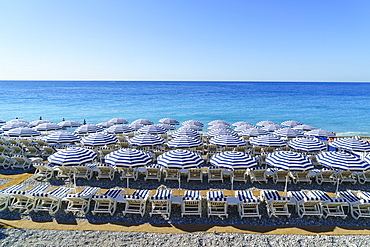 Blue and white beach parasols, Nice, Alpes-Maritimes, Cote d'Azur, Provence, French Riviera, France, Mediterranean, Europe