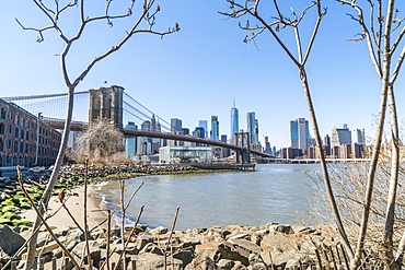 Brooklyn Bridge and Manhattan skyline seen from Brooklyn Bridge Park, Brooklyn, New York City, United States of America, North America