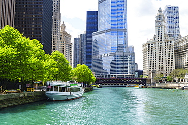 Chicago River with Trump Tower and Wrigley Building, Chicago, Illinois, United States of America, North America