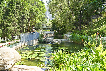 Hong Kong Park in Central, Hong Kong Island, Hong Kong, China, Asia