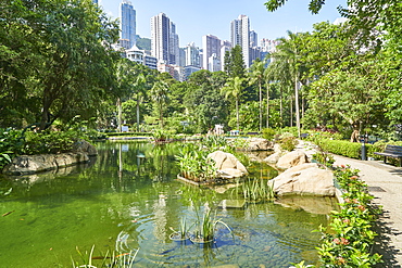 Hong Kong Park in Central, Hong Kong Island, Hong Kong, China, Asia