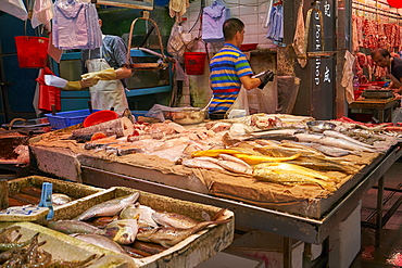 Wet fish and seafood shop, Hong Kong, China, Asia