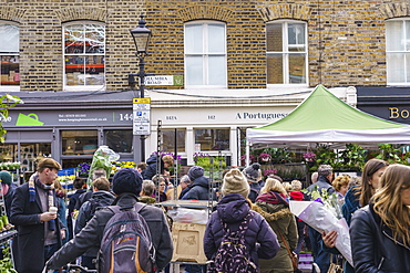 Columbia Road Flower Market, a very popular Sunday market between Hoxton and Bethnal Green in East London, London, England, United Kingdom, Europe