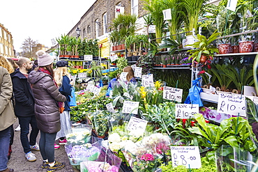 Columbia Road Flower Market, a very popular Sunday market between Hoxton and Bethnal Green in East London, London, England, United Kingdom, Europe