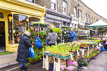 Columbia Road Flower Market, a very popular Sunday market between Hoxton and Bethnal Green in East London, London, England, United Kingdom, Europe.