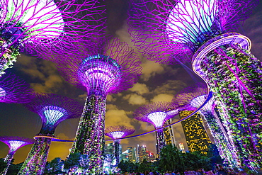 Supertree Grove in the Gardens by the Bay, a futuristic botanical gardens and park, illuminated at night, Marina Bay, Singapore, Southeast Asia, Asia