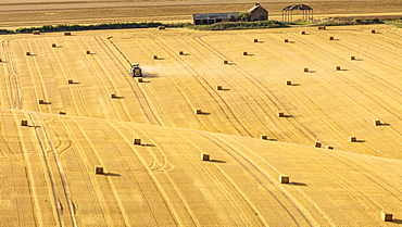 Hay bales on rolling chalk fields near the village of Fridaythorpe, on the East Yorkshire Wolds, Yorkshire, England, United Kingdom, Europe