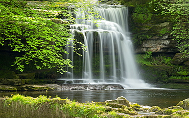 Waterfall, West Burton Village, Wensleydale, The Yorkshire Dales National Park, England, United Kingdom, Europe