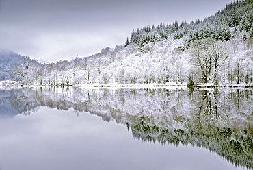 Reflections on Loch Chon in winter, Aberfoyle, Stirling, The Trossachs, Scotland, United Kingdom, Europe