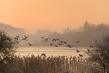 A misty sunrise over the Great Lake on the Castle Howard Estate, North Yorkshire, Yorkshire, England, United Kingdom, Europe