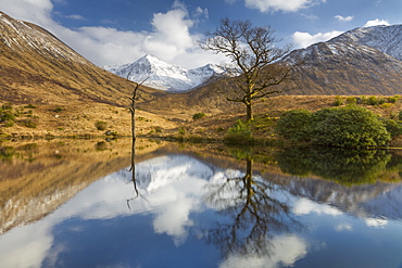 Tranquil loch reflection in Glen Etive, Glencoe, Highlands, Scotland, United Kingdom, Europe