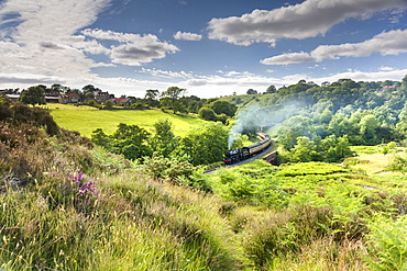 A steam locomotive at Darnholme on the North Yorkshire Railway line travelling from Whitby to Pickering, Yorkshire, England, United Kingdom, Europe