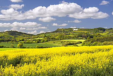 The White Horse of Kilburn, The North Yorkshire Moors, Yorkshire, England, United Kingdom, Europe