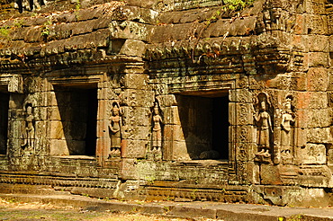 Ta Prohm Temple, Angkor, Cambodia