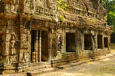 Ta Prohm Temple, Angkor, Cambodia