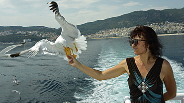 Woman feeding seagulls on a ferry from Kavala to Thassos, North Aegean Sea, Greek Islands, Greece, Europe