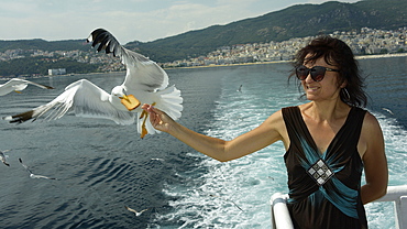 Woman feeding seagulls on a ferry from Kavala to Thassos, North Aegean Sea, Greek Islands, Greece, Europe