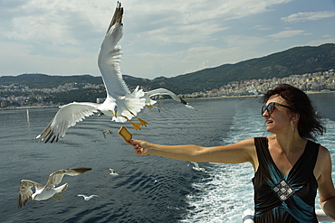 Woman feeding seagulls on a ferry from Kavala to Thassos, North Aegean Sea, Greek Islands, Greece, Europe