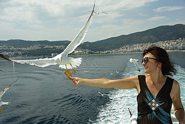 Woman feeding seagulls on a ferry from Kavala to Thassos, North Aegean Sea, Greek Islands, Greece, Europe