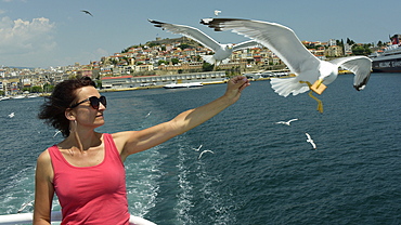 Woman feeding seagulls on a ferry from Kavala to Thassos, North Aegean Sea, Greek Islands, Greece, Europe