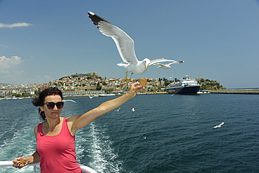 Woman feeding seagulls on a ferry from Kavala to Thassos, North Aegean Sea, Greek Islands, Greece, Europe