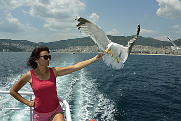 Woman feeding seagulls on a ferry from Kavala to Thassos, North Aegean Sea, Greek Islands, Greece, Europe