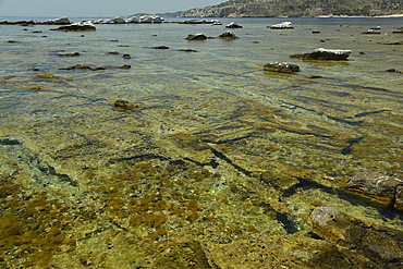 Ancient quarry of Alyki, Thassos, Greek Islands, Greece, Europe