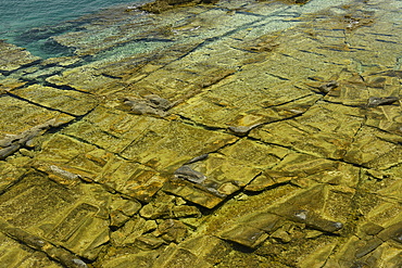 Ancient quarry of Alyki, Thassos, Greek Islands, Greece, Europe