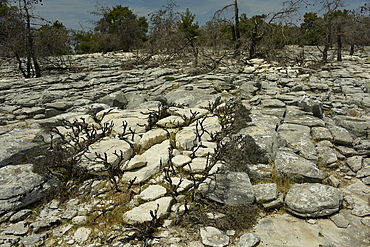 Marble landscape of Thassos, Greek Islands, Greece, Europe