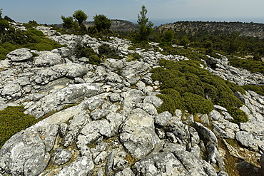 Marble landscape of Thassos, Greek Islands, Greece, Europe