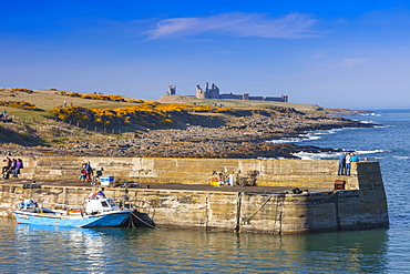 Craster Harbour and Dunstanburgh Castle, Northumberland, England, United Kingdom, Europe