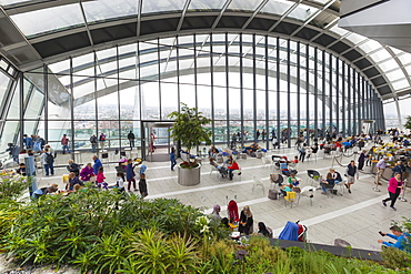 Sky Garden at the Walkie Talkie (20 Fenchurch Street), City of London, London, England, United Kingdom, Europe