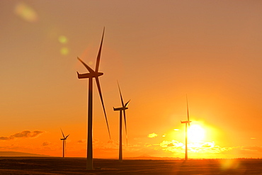 Wind turbines at sunset, Whitelee Wind Farm, East Renfrewshire, Scotland, United Kingdom, Europe