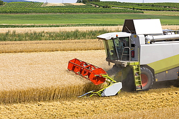 Combine harvester in barley field, Austria, Europe