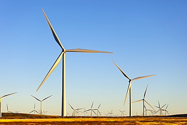 Wind Turbines, Whitelee Wind Farm, East Renfrewshire, Scotland, United Kingdom, Europe