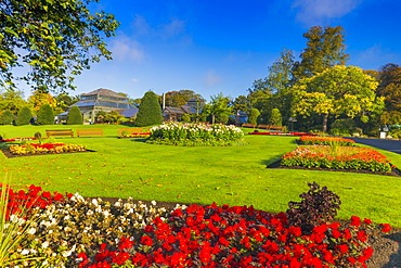 Botanic Gardens, Glasgow, Scotland, United Kingdom, Europe