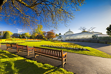 Kibble Palace, Greenhouse located at the Botanic Gardens, Glasgow, Scotland, United Kingdom, Europe