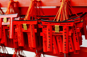 Small torii votive offerings, Fushimi Inari shrine, Kyoto, Japan, Asia