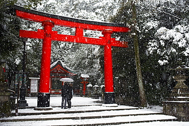 Heavy snow falling on Fushimi Inari shrine, Kyoto, Japan, Asia