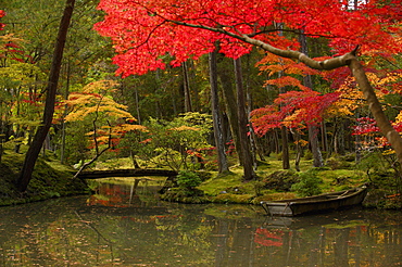 Autumn colours in the moss garden of Saiho-ji temple, UNESCO World Heritage Site, Kyoto, Japan, Asia